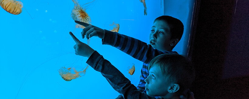 Nem vagytok véletlenül jellyfish szülők? Újra hódít ez a nevelési trend!
